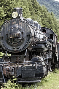 photography of black train surrounded by forest trees outdoors