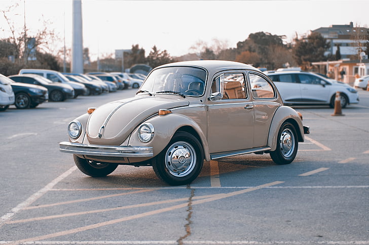 classic gray Volkswagen Beetle coupe at parking lot