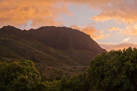 green leafed trees near mountain during golden hour