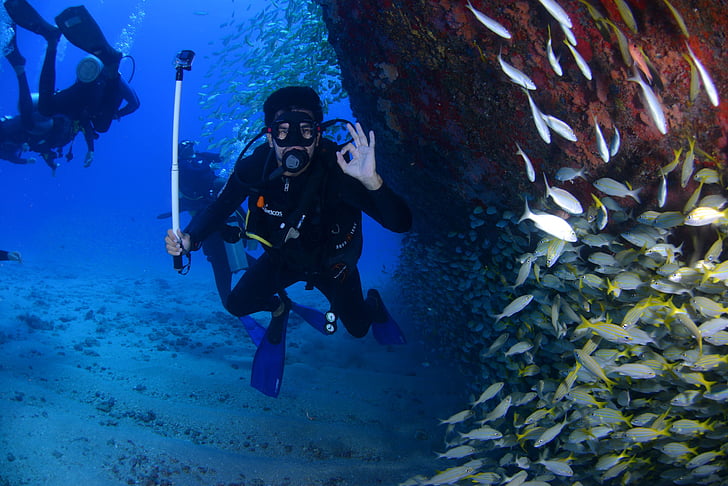 man wearing diving gear surrounded fish