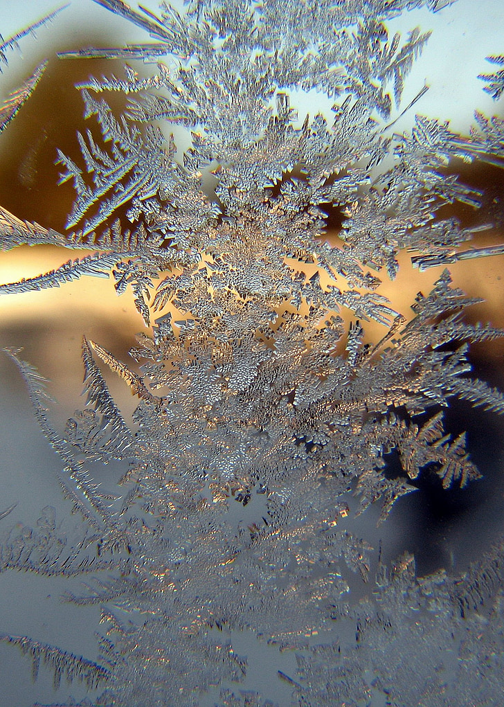 close-up photo of snowflake