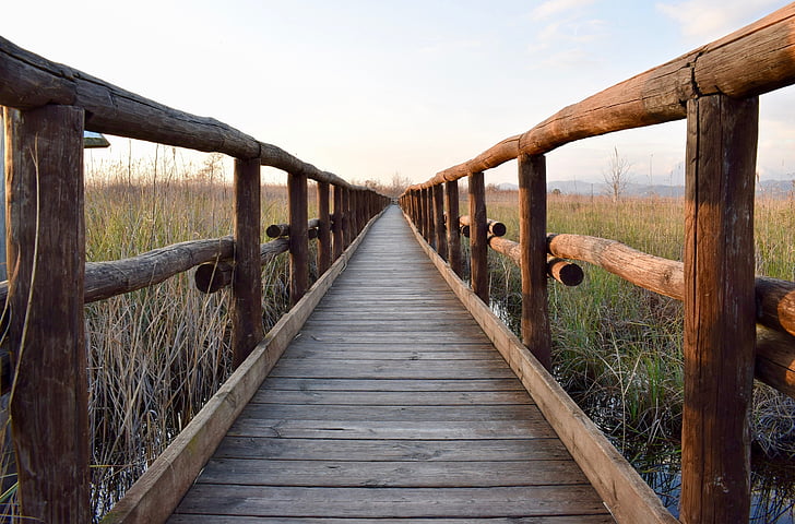 Makeshift wooden bridge over water Stock Photo - Alamy