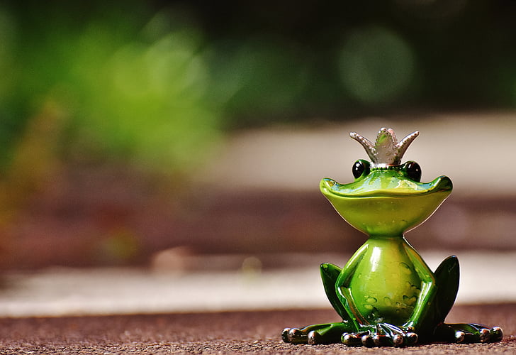 Little Frog sitting on moss - a Royalty Free Stock Photo from Photocase