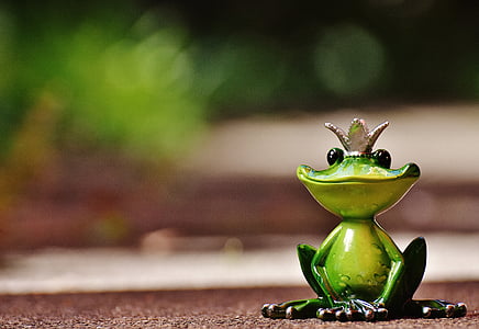 shallow focus photo of green frog figurine