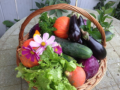 vegetable basket on table near potted plant