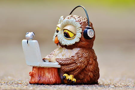 closeup photography of brown owl wearing headphones using laptop figurine