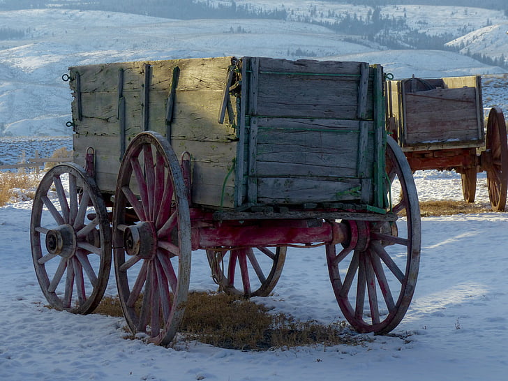 brown wooden horse carriage on ice ground