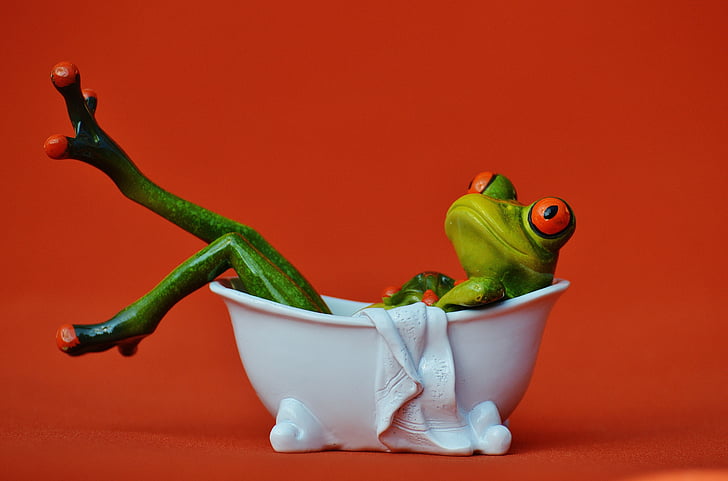 frog in bathtub
