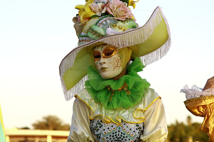 person wearing masquerade mask