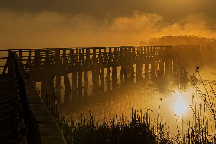 bridge covered by fog during golden hour