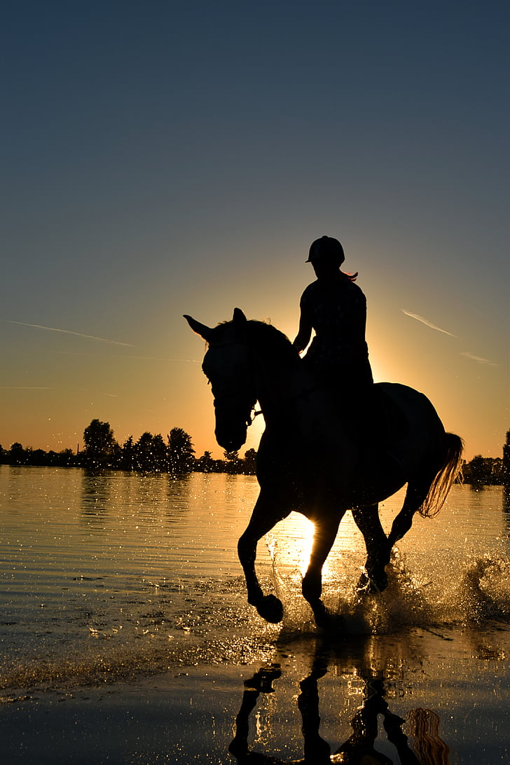 woman and horse silhouette during sunset