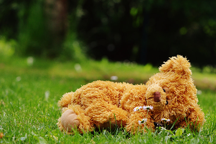 brown bear plush toy lying on green grass at daytime