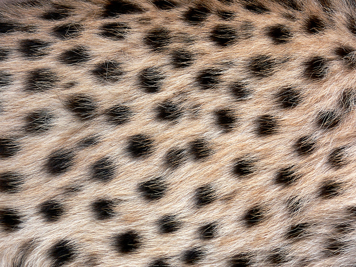 brown fur textile with black polka-dots