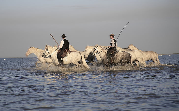 two men riding on horses crossing in water