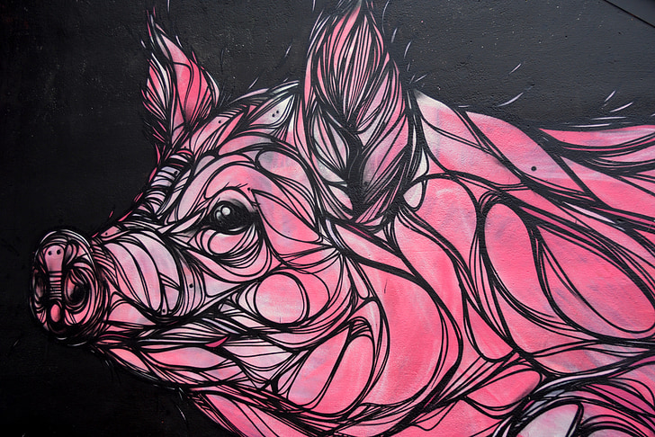 black and pink pig illustration