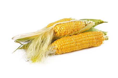 two yellow corns