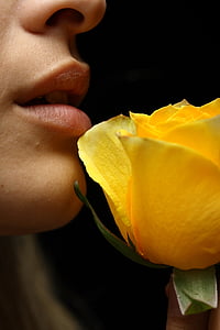 yellow rose near person mouth