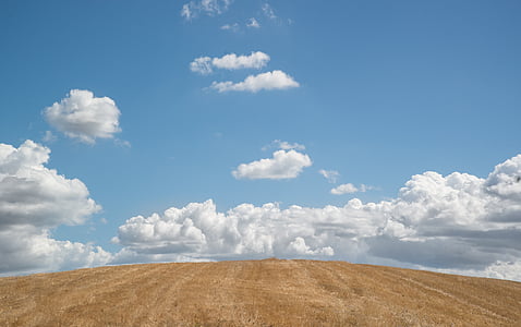 photo of grain field during daytime