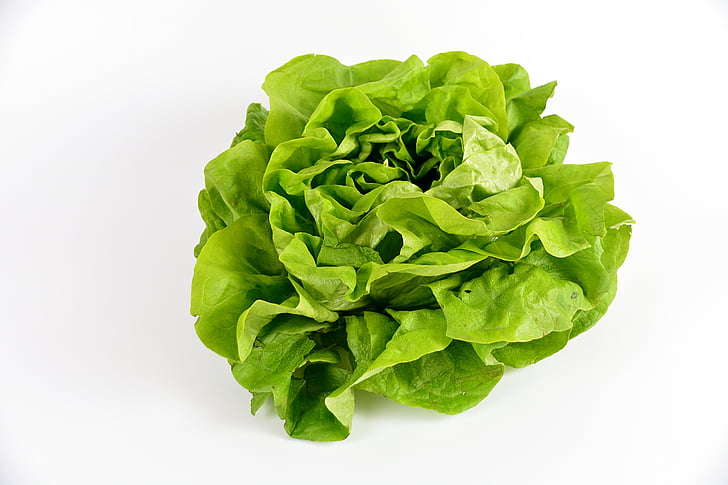 Royalty-Free photo: Green lettuce | PickPik