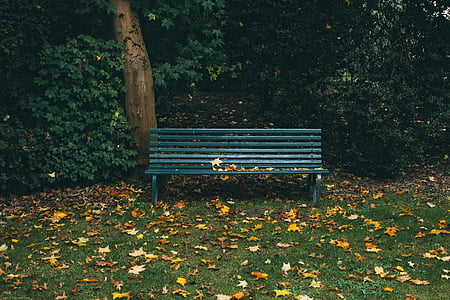 green bench beside tree during daytime