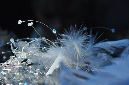 white feather on crystals