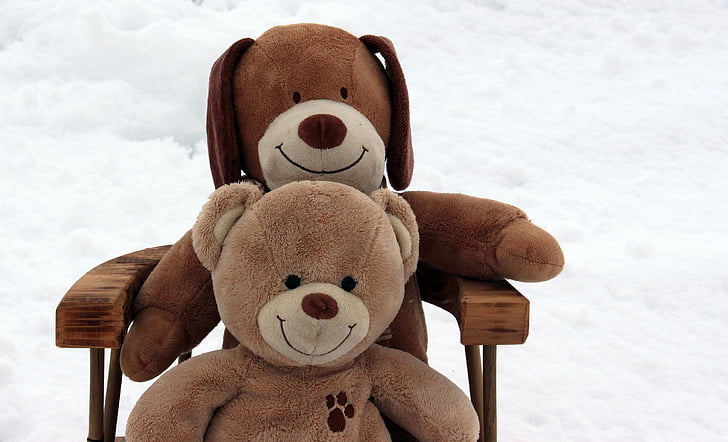 two brown and dog bear plush toys