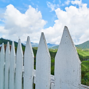 macro shot of white wooden fence