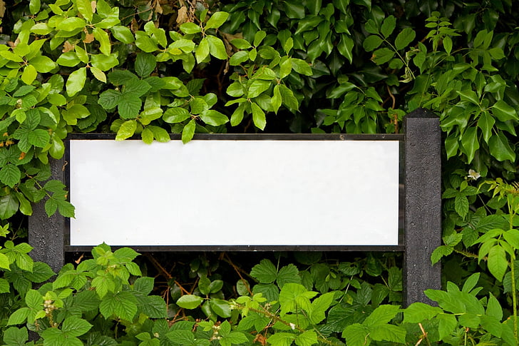 white wooden signage surrounded by green leafed plants