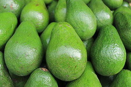 closeup photo of avocado fruits