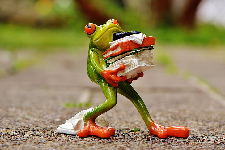 selective focus photography of frog carrying pile of clothes figurine