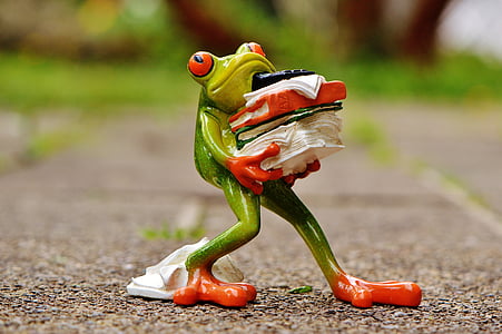 selective focus photography of frog carrying pile of clothes figurine