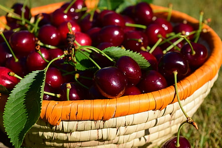 selective focus photography of basket full of cherries