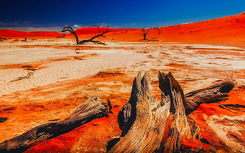 landscape photography of desert