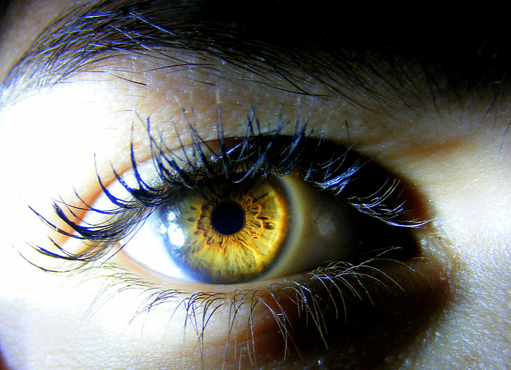 human brown eye