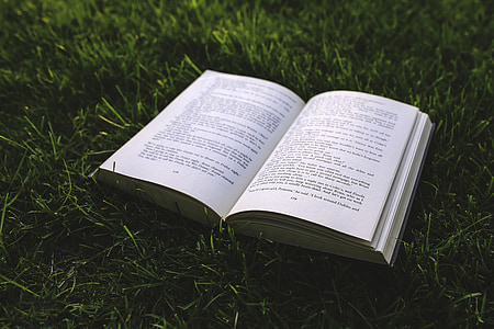 book page on green grass during daytime