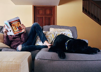 person reading book near short-coated black dog lying on gray sectional sofa in room