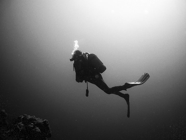 person diving underwater grayscale photo
