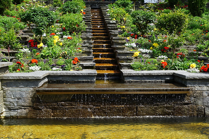 fountain surrounded with plants