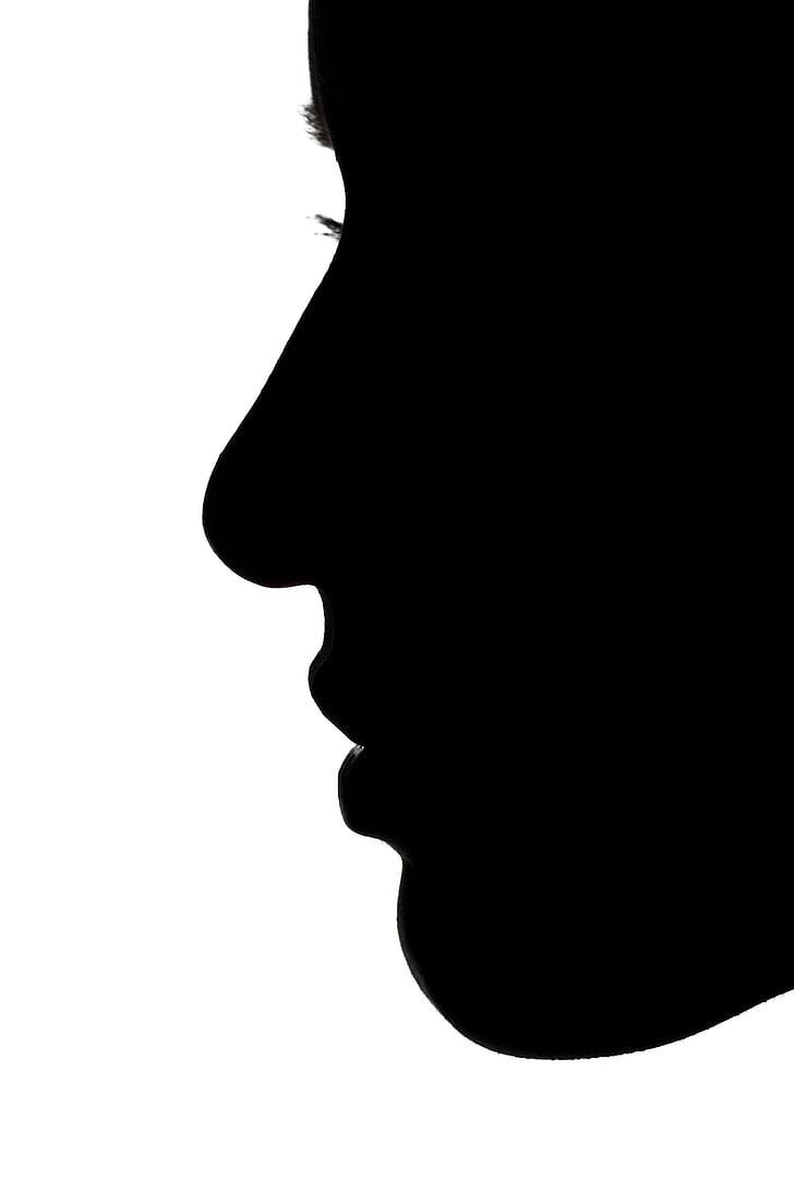 silhouette illustration of human face