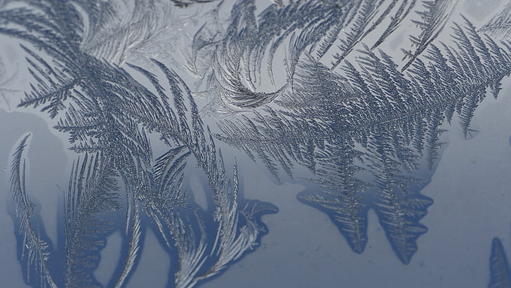 cold, frost, macro photography, winter, window, reflection
