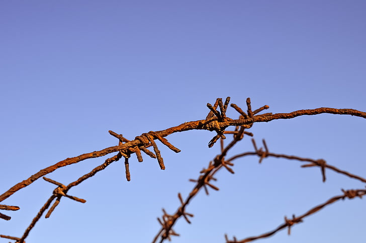 shallow focus photography of rusted brown steel barbed wire