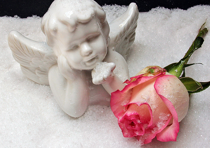 angel, angel figure, rose, snow, christmas, weihnachtsbaumschmuck