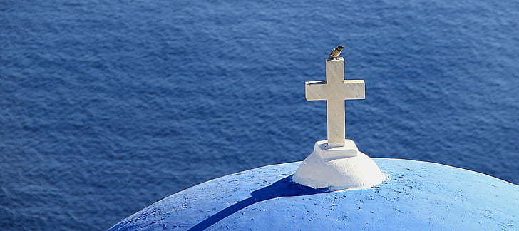 bird perched on white concrete cross