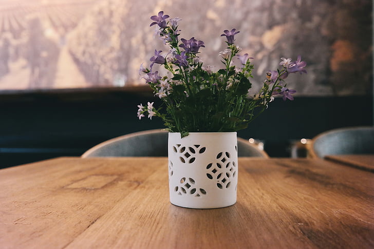 purple petaled flowers in white vase on table