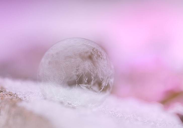 photography of frost bubble