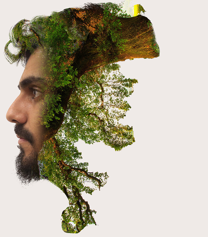man's face and forest photo manipulation