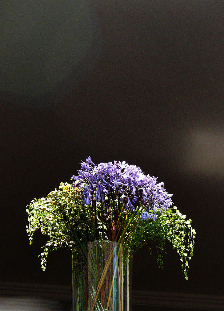 green and purple flowers in clear glass vase selective-focus photography