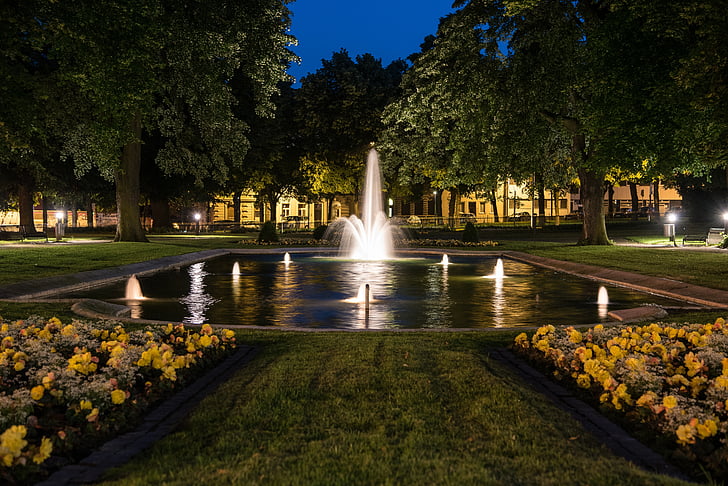 water fountain surrounded by trees
