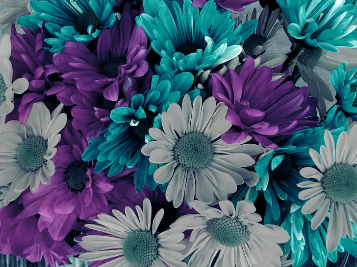 closeup photo of teal, gray, and purple petaled flowers