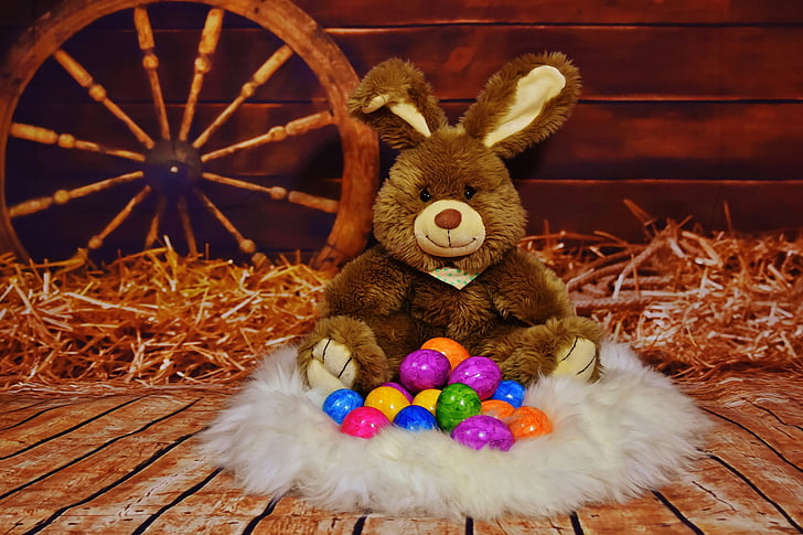 Easter Bunny plush toy set placed on brown wooden floor